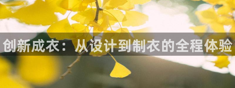 pg电子是真恶心