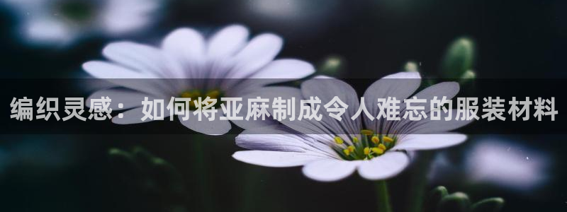 pg电子寻宝黄金城网址是什么