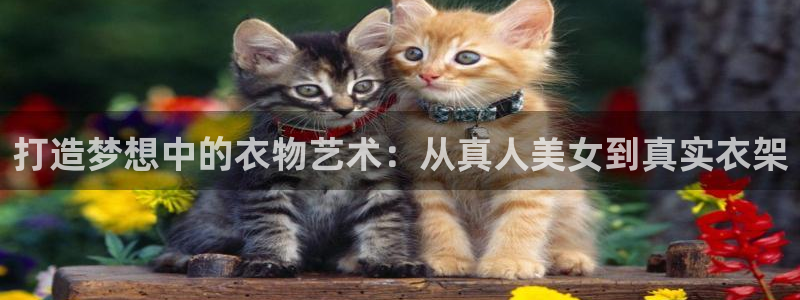 PG电子怎么回血