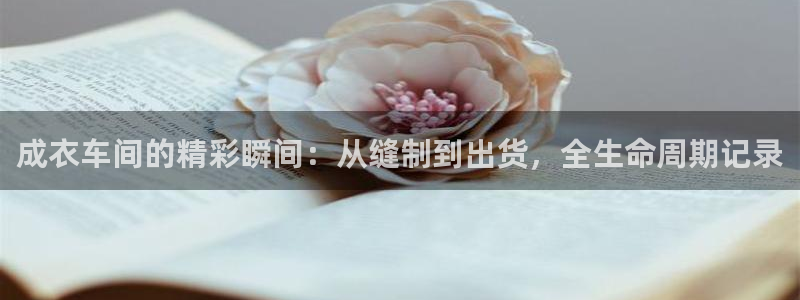 pg电子比基尼爆分技巧