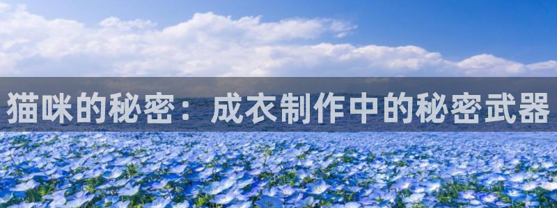 pg电子能不能免费完