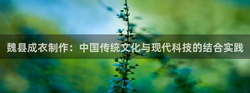 俄罗斯电子pg