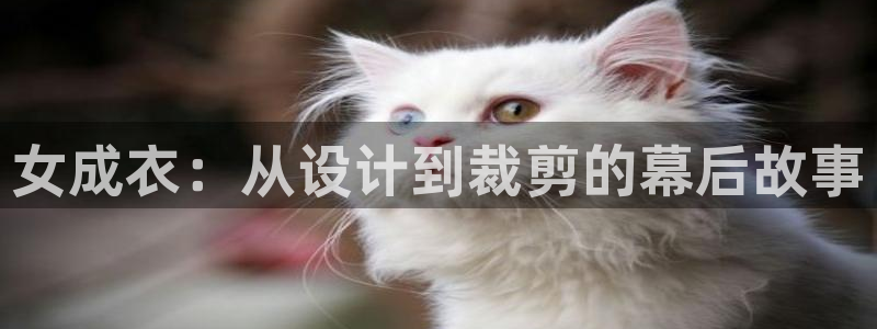 pg电子游戏app下载