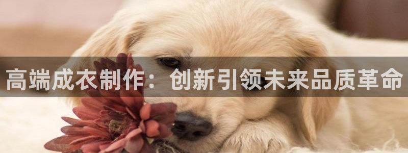 pg电子最高爆分视频