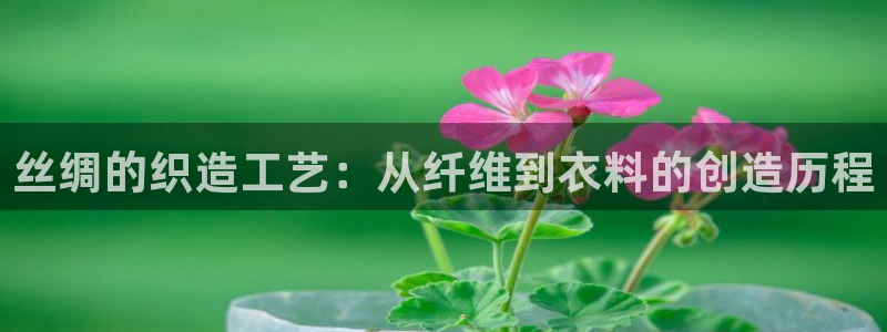 pg电子现在太坑了
