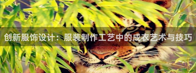 pg电子寻龙探怎么吃分