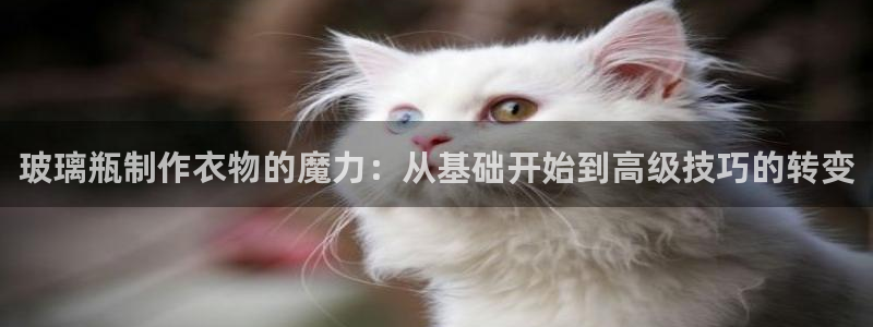 pg电子平台试玩体验