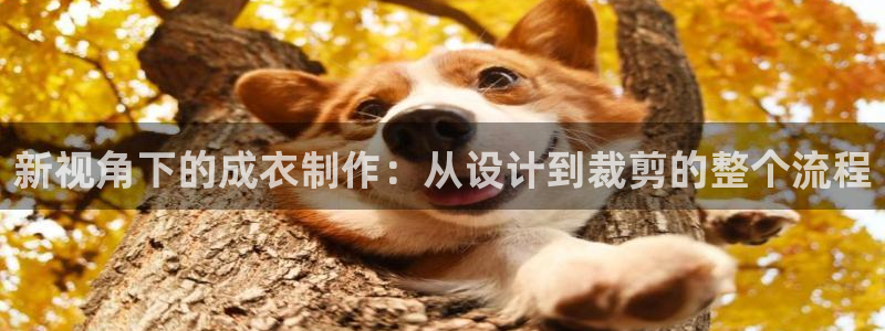 体育娱乐pg电子入口