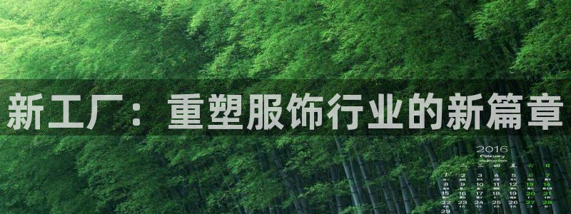 哪里可以看pg电子直播