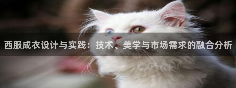 最火pg电子软件