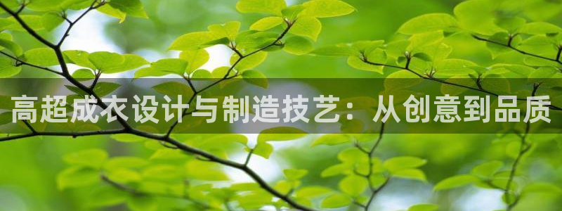 pg电子赏金女王技巧