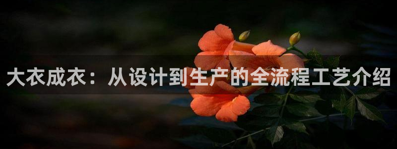 pg电子艳后之谜是什么