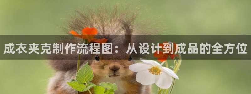 pg电子游戏哪里玩好爆