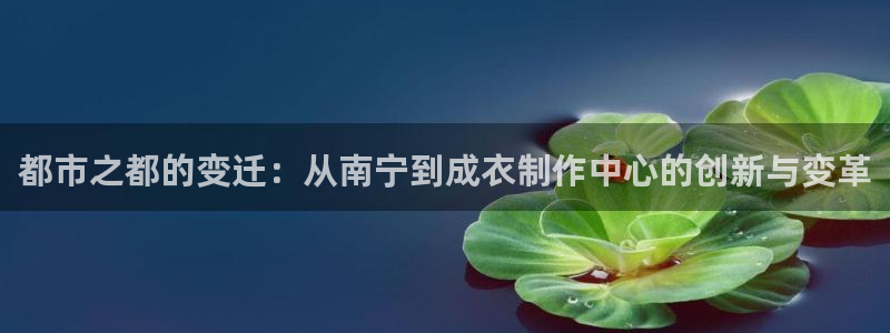 pg电子平台手机app