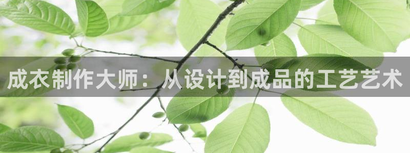 网站电子游戏PG怎么打