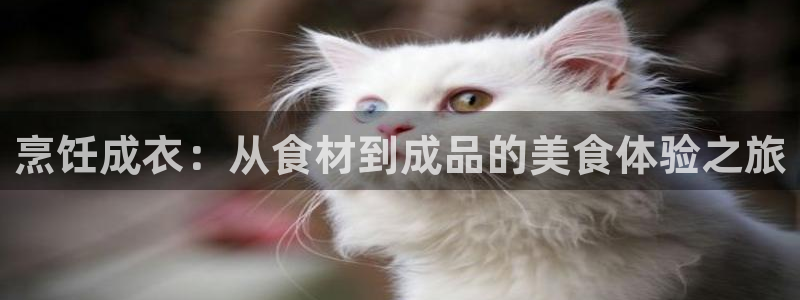 pg电子官方网站入口