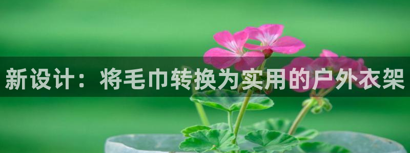 pg电子美洲野牛视频