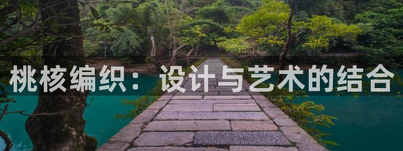 手机上的电子PG