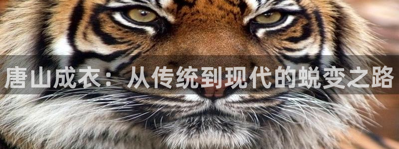 pg电子平台登录