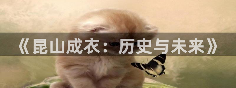 pg电子登录入口