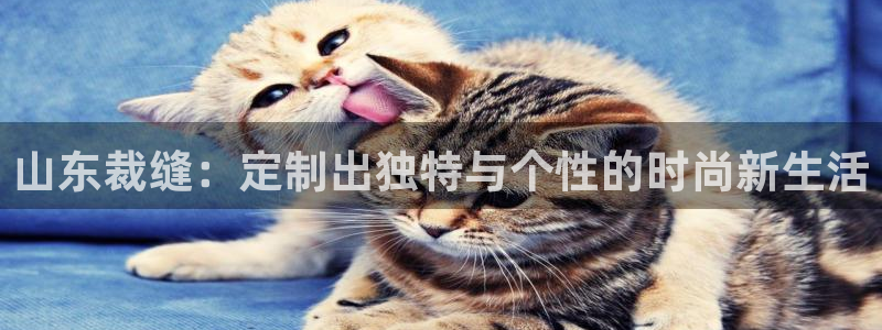 pg官方电子平台
