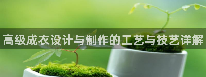 PG电子夜醉佳人游戏