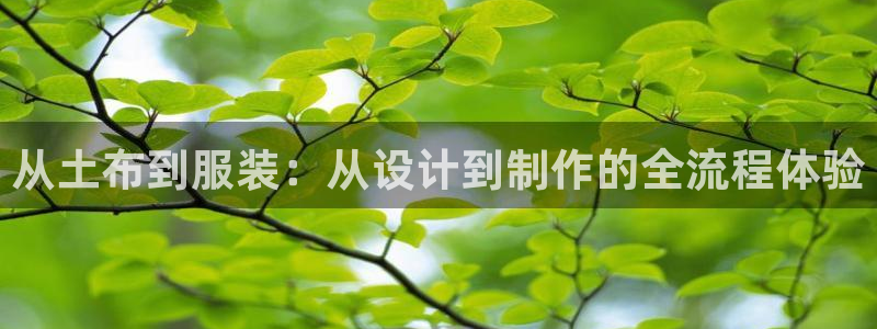 pg电子阿拉丁神灯攻略