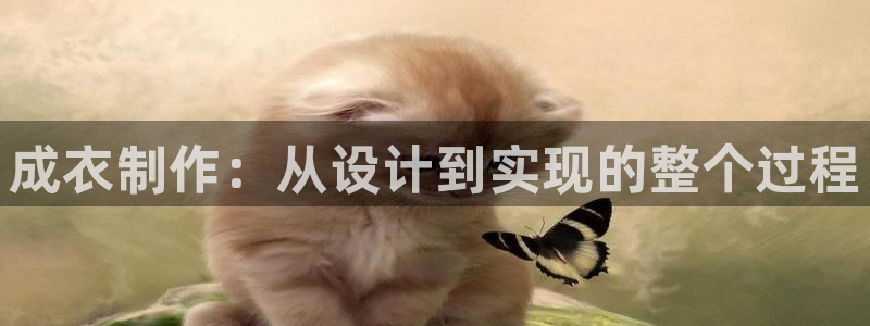 pg电子黄金城游戏视频