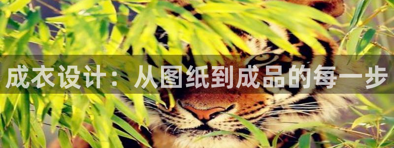 电子PG大奖视频