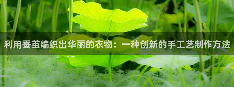 pg电子平台登录