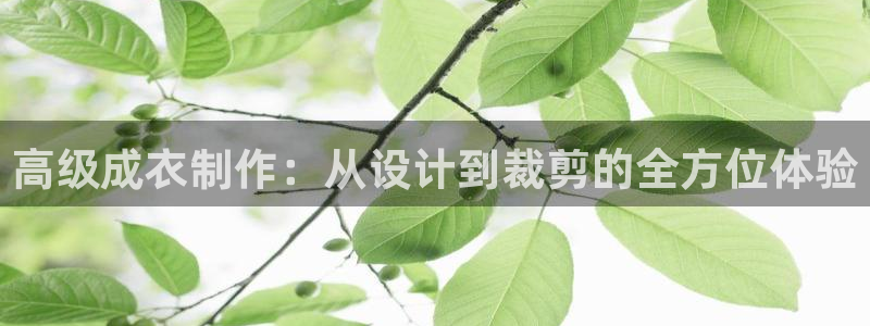 pg电子官方网站多少
