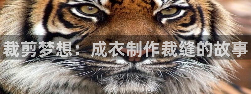 pg电子麻将胡了爆超级大奖