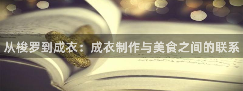 pg电子是谁开发的