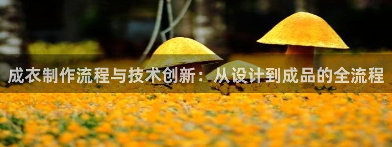 pg电子试玩账号