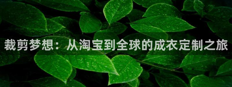 电子pg爆分视频