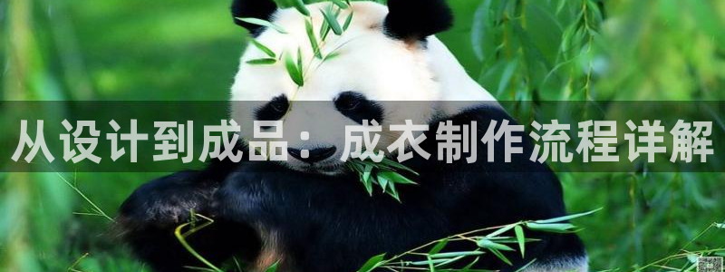 pg电子官方首页311