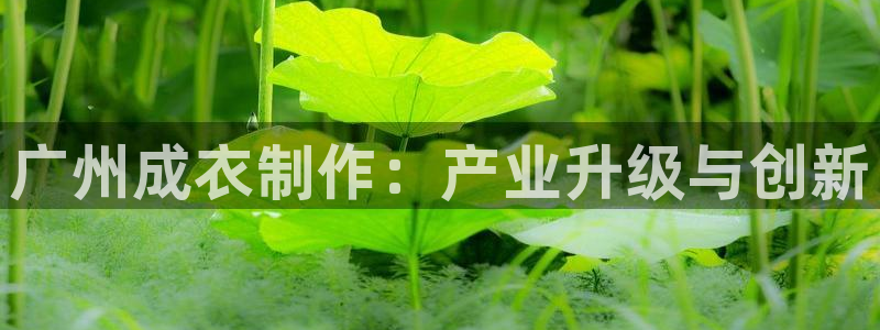 pg电子APP游戏下载