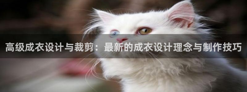 pg电子游戏搭建