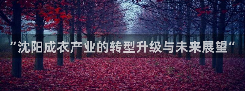 PG电子游戏外国