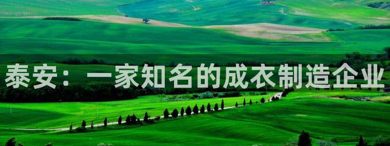 Kok里pg电子维护